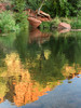 photo thumbnail #14