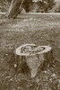 photo thumbnail #15