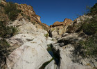 photo thumbnail #8