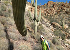 photo thumbnail #10