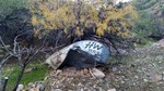 photo thumbnail #2