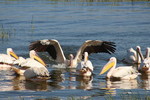 photo thumbnail #10