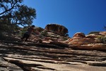 photo thumbnail #8