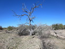 photo thumbnail #1