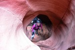 photo thumbnail #10