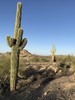 photo thumbnail #3