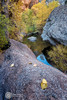 photo thumbnail #5