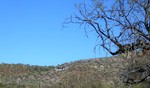 photo thumbnail #6