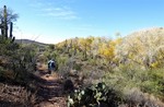 photo thumbnail #5