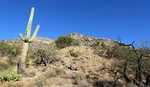 photo thumbnail #3