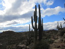 photo thumbnail #10