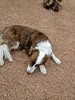 photo thumbnail #1