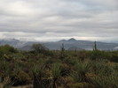 photo thumbnail #3