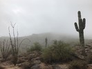 photo thumbnail #10