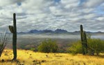 photo thumbnail #5