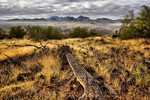 photo thumbnail #9