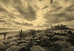 photo thumbnail #10