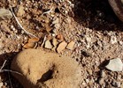 photo thumbnail #15