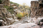 photo thumbnail #7
