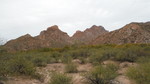 photo thumbnail #7