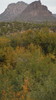 photo thumbnail #12