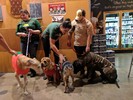 photo thumbnail #4