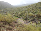 photo thumbnail #8