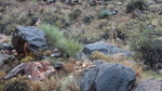 photo thumbnail #2