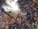 photo thumbnail #6