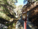 photo thumbnail #4