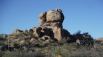 photo thumbnail #2