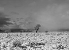 photo thumbnail #1