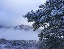 photo thumbnail #5