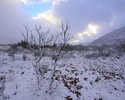 photo thumbnail #6