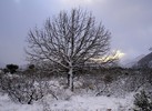 photo thumbnail #8