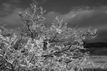 photo thumbnail #13