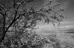 photo thumbnail #14