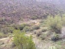 photo thumbnail #12