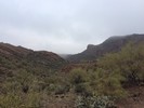photo thumbnail #14