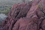 photo thumbnail #1