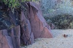 photo thumbnail #12
