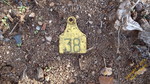 photo thumbnail #14