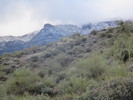 photo thumbnail #1