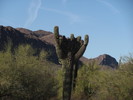 photo thumbnail #4