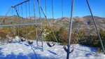 photo thumbnail #3
