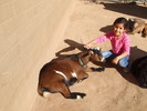 photo thumbnail #9