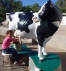 photo thumbnail #10