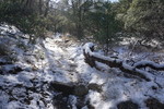 photo thumbnail #13