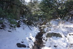 photo thumbnail #15