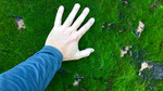 photo thumbnail #11